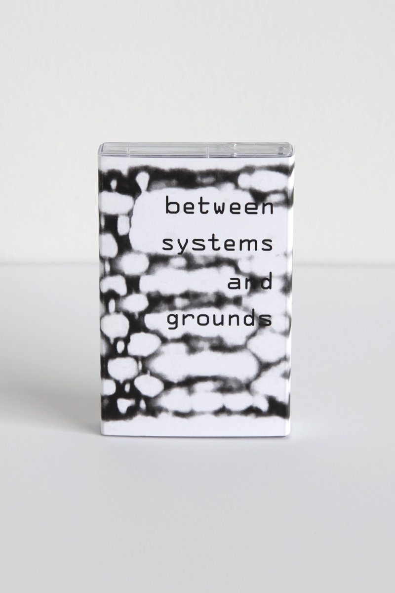 Paula Matthusen And Olivia Valentine - Between Systems And Grounds